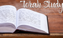 Torah Study open book on a table