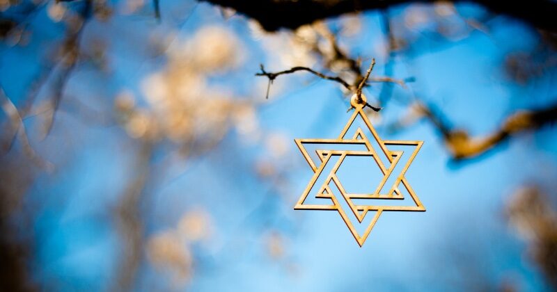 jewish star pendent hanging from a tree branch