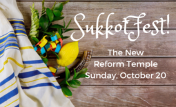 sukkot web